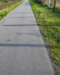 Long pathway lined with trees and grass under a clear blue sky during daylight hours
