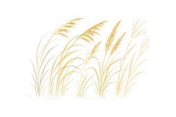 Delicate watercolor of golden wheat and green grass on white background