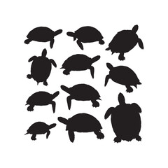Turtle Silhouettes Collection,Turtles Silhouettes,Vector Turtle Silhouettes,Reptile Turtle Silhouettes,turtle vector