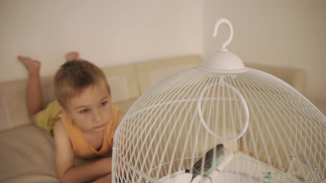 Curious little boy looking at his pet parakeet in a cage