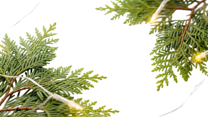 Celebrating 2026 on a globe