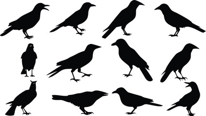 Black silhouettes of crows and ravens in various poses