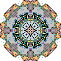 Colorful cute Mandalas. Decorative unusual round ornaments.