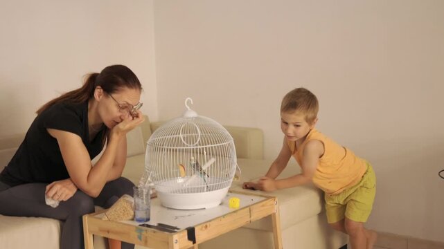 Mother and son feeding budgie in cage at home