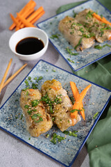Homemade recipe for spring rolls with vegetables and soy