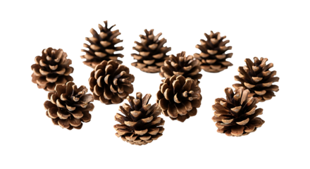 A minimalist arrangement of ten rustic pinecones scattered across a pristine white background. Their rich, earthy brown tones and intricate, textured scales create a simple yet elegant display, perfec