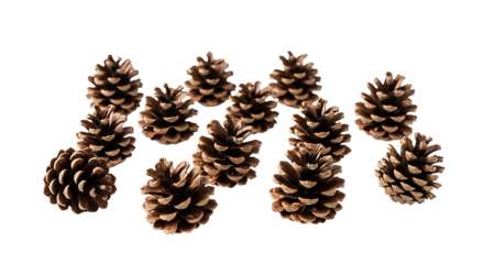 A minimalist arrangement of ten rustic pinecones scattered across a pristine white background. Their rich, earthy brown tones and intricate, textured scales create a simple yet elegant display, perfec