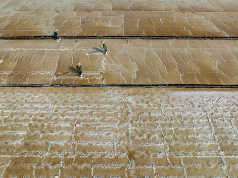 Aerial view of salt farmers harvesting salt in the salt fields, the contrasting textures creating a mesmerizing pattern, Phuoc Diem, Ninh Thuan, Vietnam.
