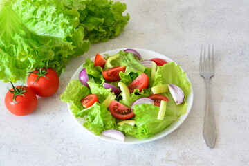 Fresh Mixed Green Salad with Tomatoes, bell pepper and Red Onions