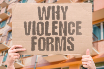 "Why Violence Forms" Rare events can involve layered stressors, access, and failures to intervene. VIOLENCE. CAUSES. RISK. MENTAL. SYSTEMS.