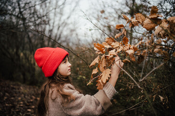 Naklejka premium Autumn portrait of girl in forest, examinig dry leaves.