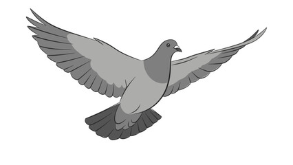 Obraz premium A pigeon with outstretched wings in flight against a white background.