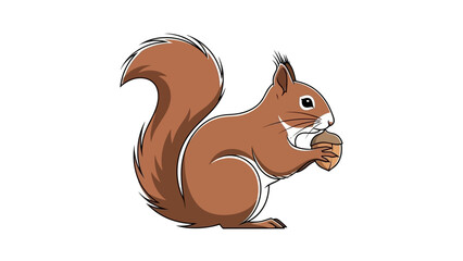 A cute red squirrel is holding and eating an acorn.