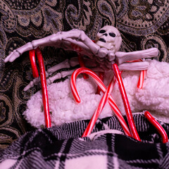 Skeletons and candy canes for the holidays. 