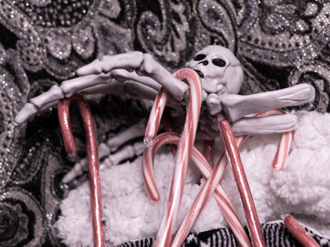 Nearly black and white photograph of peppermints being held by a skeleton hand. The candy canes remain red and white.