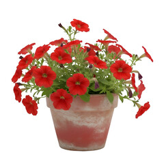 Red Petunia Flowers in Terracotta Pot. Garden Bloom.