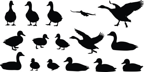 Silhouette collection of ducks and geese in flying, swimming, and walking positions, perfect for wildlife vector art and illustrations