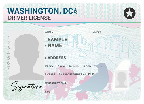 Washington, DC driver license isolated on white background. Person driver license
