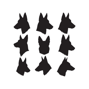 Belgian Malinois Head Silhouettes Collection,Belgian Malinois Silhouettes,Vector Belgian Malinois Head Silhouettes,Dog Head Silhouettes,belgian malinois vector