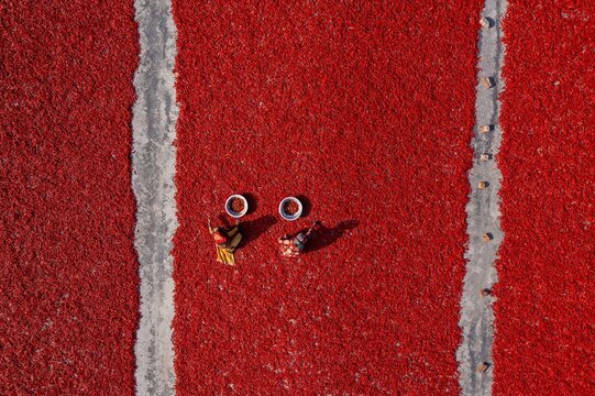 Aerial view of a red running track with white lane markers, two figures, and two small objects, Sariakandi, Rajshahi Division, Bangladesh.