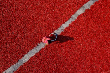 Aerial view of a pair of pink and black shoes on the red running track split by a white line, Sariakandi, Rajshahi Division, Bangladesh.