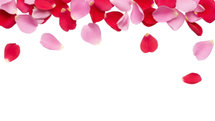 Rose Petals Falling on Transparent Background PNG Image