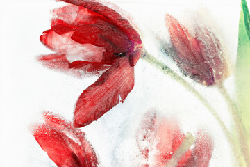 Naklejka premium Czerwone tulipany zamrożone w lodzie, przedstawione w malarskim, artystycznym stylu.