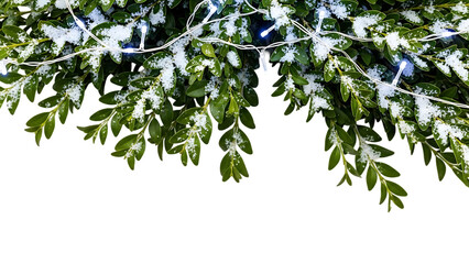 Green foliage decorated with a string of bright white lights and covered in a layer of fresh white snow