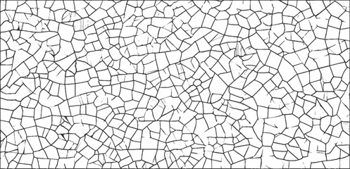 Black and white abstract pattern of cracked surface with irregular polygonal shapes and fine lines background