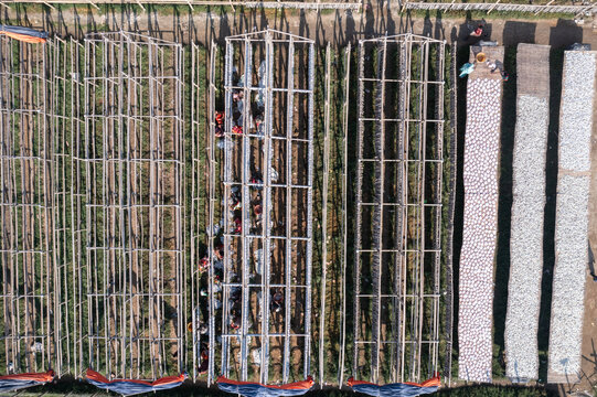 Aerial view of neatly arranged rows of bamboo structures and drying fish under the sun, creating a geometric pattern, Chattogram, Chittagong Division, Bangladesh.