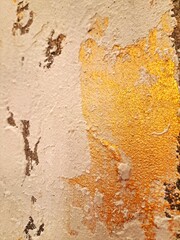 An extreme close-up highlights a patch of shimmering gold leaf contrasting sharply with the rough, textured white and gray wall plaster