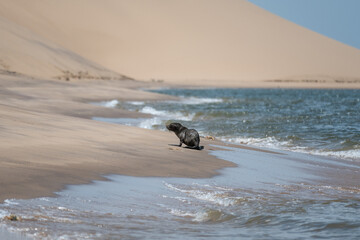 Dunas de Bahia dos Tigres, en el sur de Angola, desierto del Namib