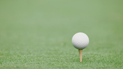 Golf ball balanced on tee with green background.