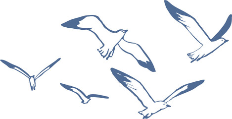 Hand drawn flying seagulls in simple blue line art style. Minimal coastal bird vector illustration with dynamic poses. Nautical, marine, nature graphic.