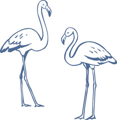 Obraz premium Hand drawn flamingos in simple blue line art style. Minimal tropical bird vector illustration with elegant poses. Nautical, coastal, nature graphic.