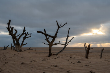 Ilha dos Tigres, Angola © Alicia