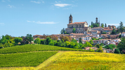 Vignale Monferrato Village and Vineyards in Summer, Piedmont, Italy