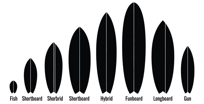 Surfing equipment comparison showing various surfboard shapes and sizes from fish to longboard