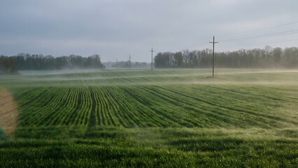 Rolling green fields stretch into the distance under a hazy sky, creating a peaceful rural landscape and serene atmosphere