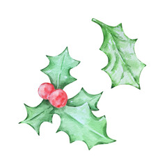 Fototapeta premium Watercolor Holly with berries set, Christmas floral illustration for holiday design.