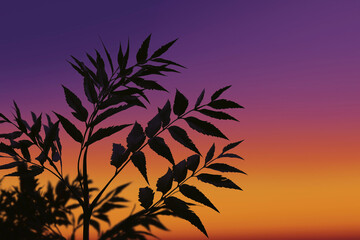 A beautifully detailed silhouette of leaves stands tall against a stunning twilight sky, showcasing a blend of deep purples and oranges, conjuring feelings of calm and reflection.
