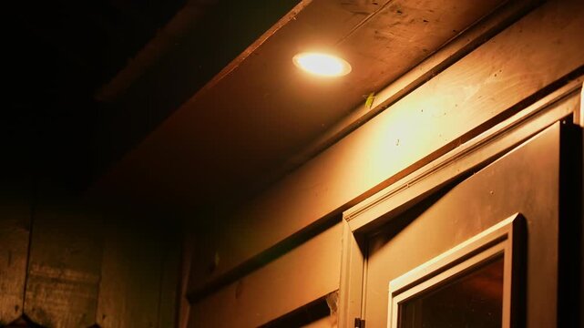 Electric light in the forest near cabin with night bugs and flying insects. Illuminated light in the woods at night time forest setting. Summer time insects attracted to light, copy space background.