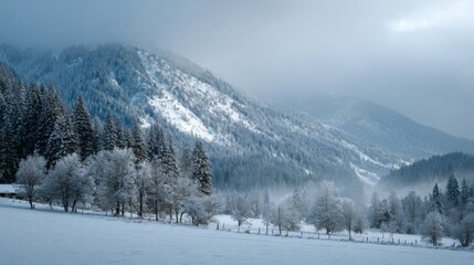 Obraz premium Serene Winter Landscape with Snow-Covered Mountains and Frosty Trees Under a Calm and Peaceful Atmosphere
