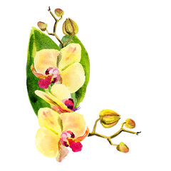 yellow and red orchid flowers, buds, twigs, green leaves, watercolor corner composition, hand drawn tropical plant, floral sketch of blossom flowers, botanical illustration for wedding decoration
