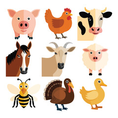 Fototapeta premium Domestic farm animals and poultry illustration set with pig cow goat sheep duck turkey bee rural flat vector design