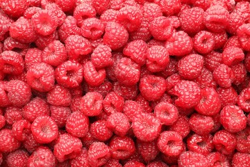 Fresh ripe raspberries as background, top view