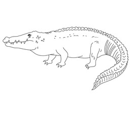Cute cartoon hand drawn vector crocodile outline.