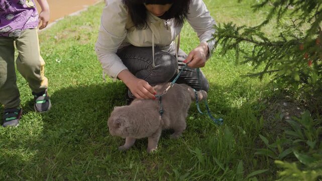 Woman Securing Cat Leash Outdoors, Child Passes By During Pet Harness Setup, Preparing To Walk Pet With Attention And Care In Park, Ensuring Pet Is Properly Harnessed Before Going For Walk In Park