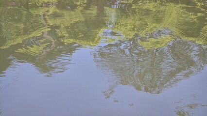 A water surface in a public park pond with small ripples, reflecting green tree shadows and a blue sky. An abstract background that looks peaceful and natural. tree reflections in water.