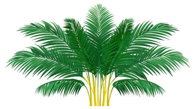Fototapeta Tropical palm tree with lush green fronds and yellow stems, isolated on transparent background, evokes fresh, vibrant, and exotic atmosphere, perfect for summer or nature themes